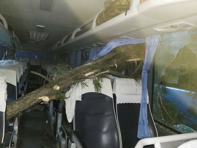 一个都不能少——国旅四川公司导游董一平带领游客脱险侧记（图）